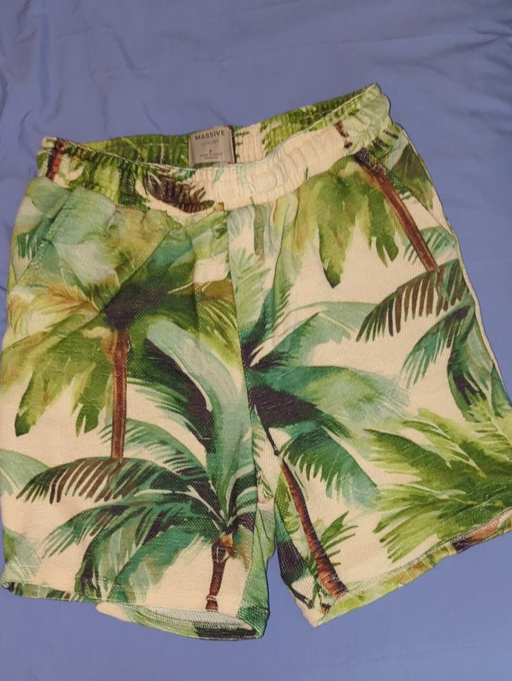 Palm-Print Men’s Casual Shorts in Green